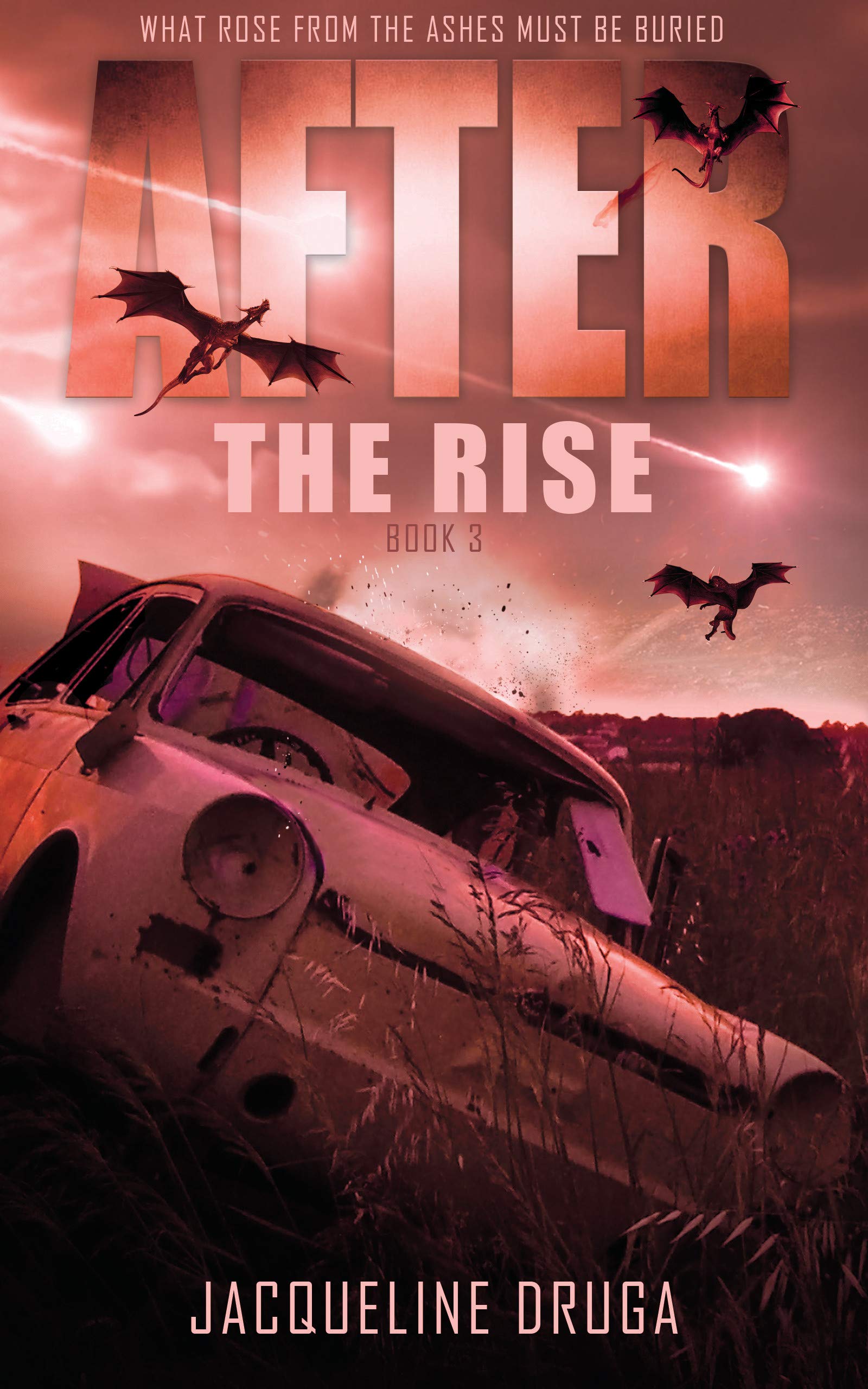 After the Rise: Book Three (Rise Series 6)