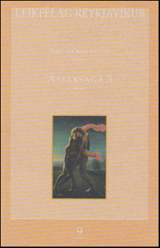 Ástarsaga 3 (Paperback)