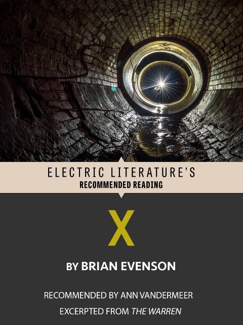 X: Excerpted from THE WARREN (Electric Literature's Recommended Reading)