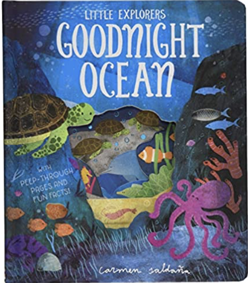 Goodnight Ocean (Board book)