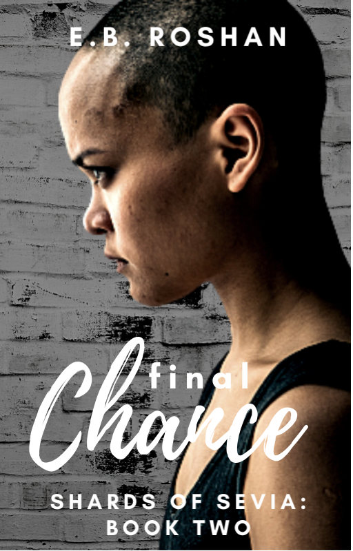 Final Chance (Shards of Sevia, #2)