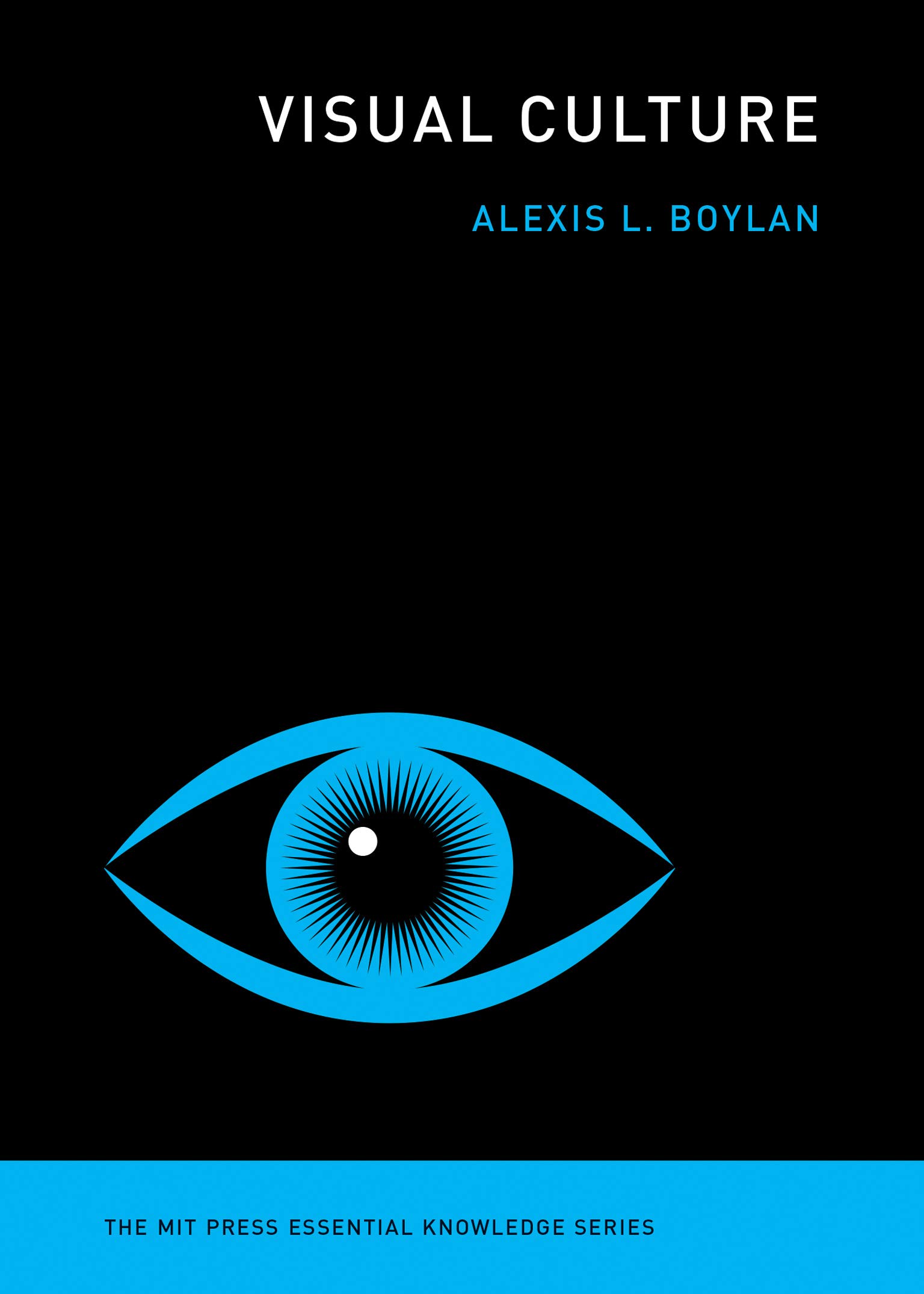 Visual Culture (Kindle Edition)