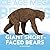 Giant Short-Faced Bears (Ice Age Mega Beasts)