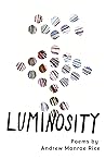Luminosity: 28 Spiritual Poems, Ruminations & Deathbed Stories
