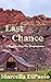 Last Chance (Pine City Chance #3)