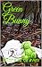 Green Bunny