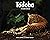 The Tadoba Inheritance - A Comprehensive Travel Guide to Indi... by Bittu Sahgal