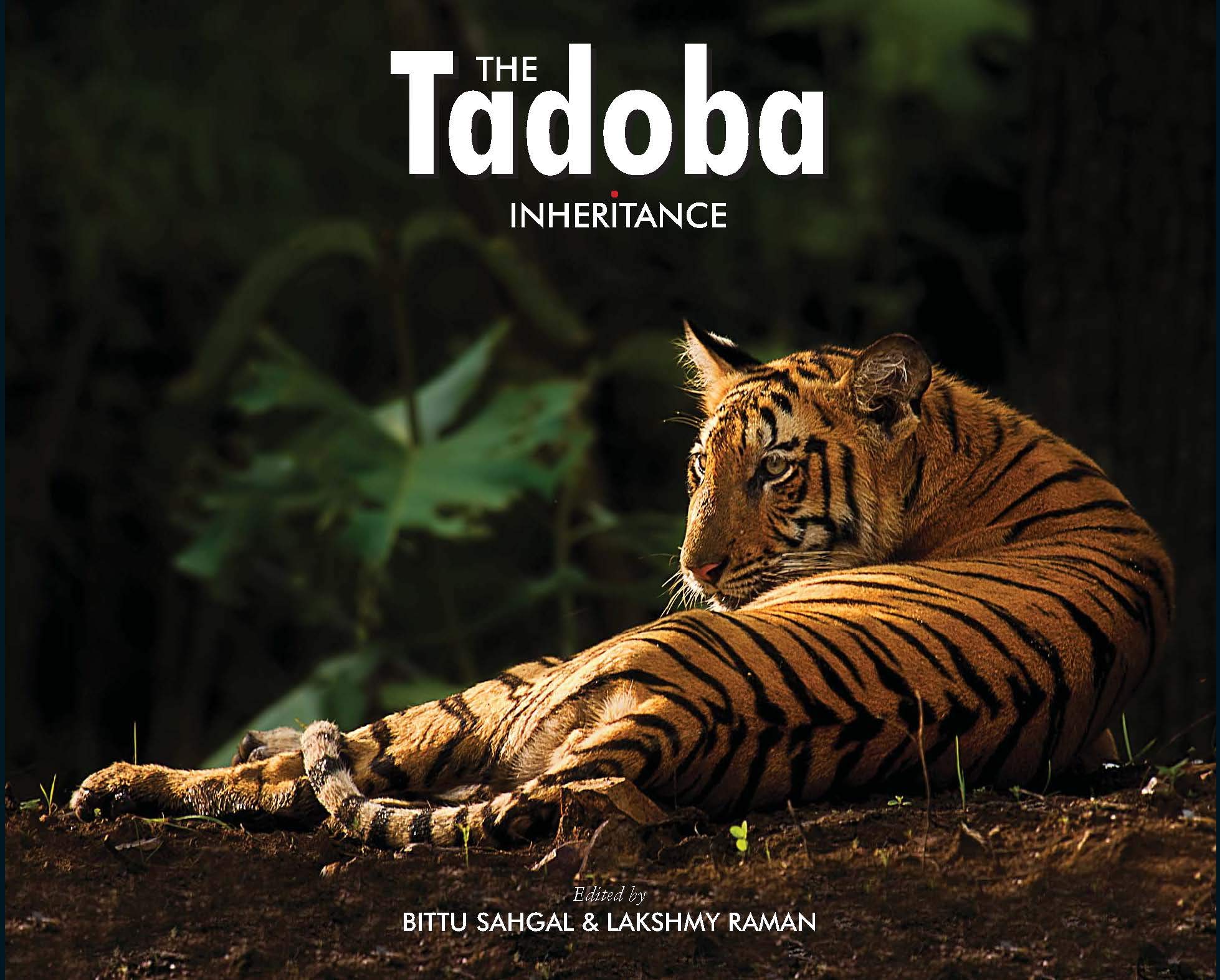 The Tadoba Inheritance - A Comprehensive Travel Guide to India's National Parks