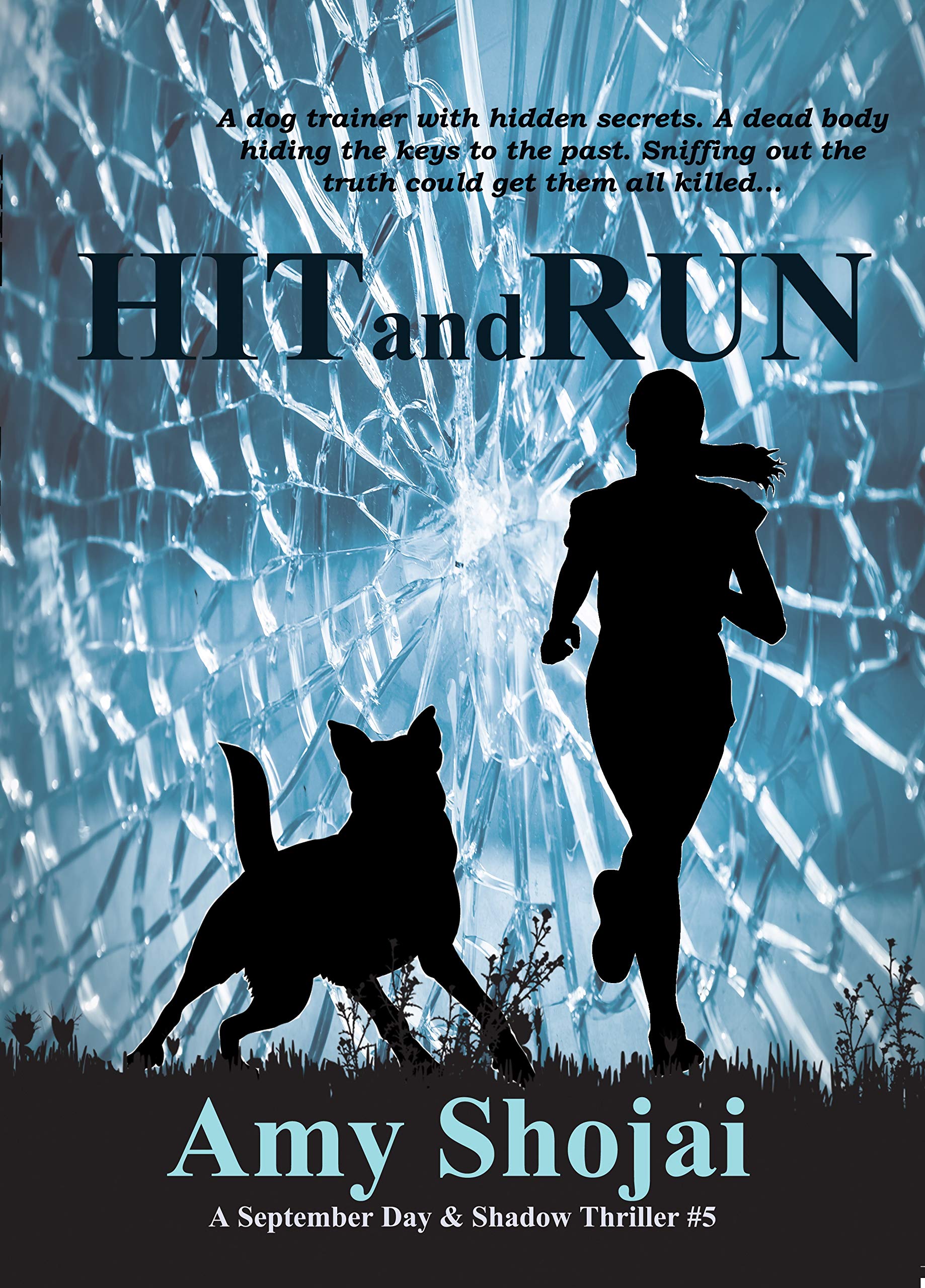 Hit And Run (September Day, #5)