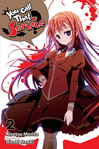 You Call That Service?, Vol. 2 (light novel) (You Call That Service? (light novel))