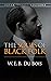 the souls of black folk illustrated by W.E.B. Du Bois the souls of black folk illustrated by W.E.B. Du Bois