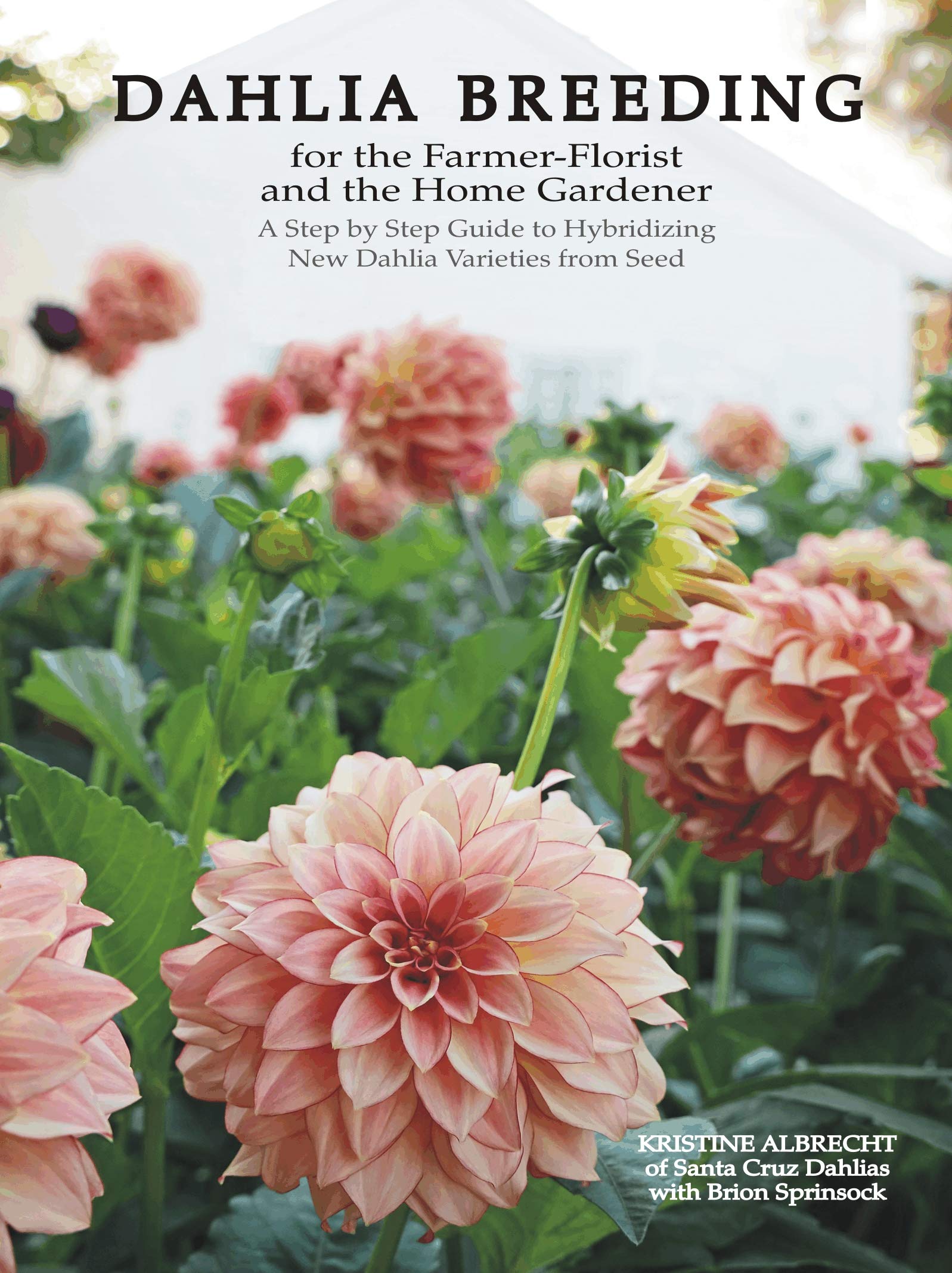 Dahlia Breeding for the Farmer-Florist and the Home Gardener: A Step by Step Guide to Hybridizing New Dahlia Varieties from Seed (Kindle Edition)