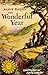 The Wonderful Year by Nancy Barnes