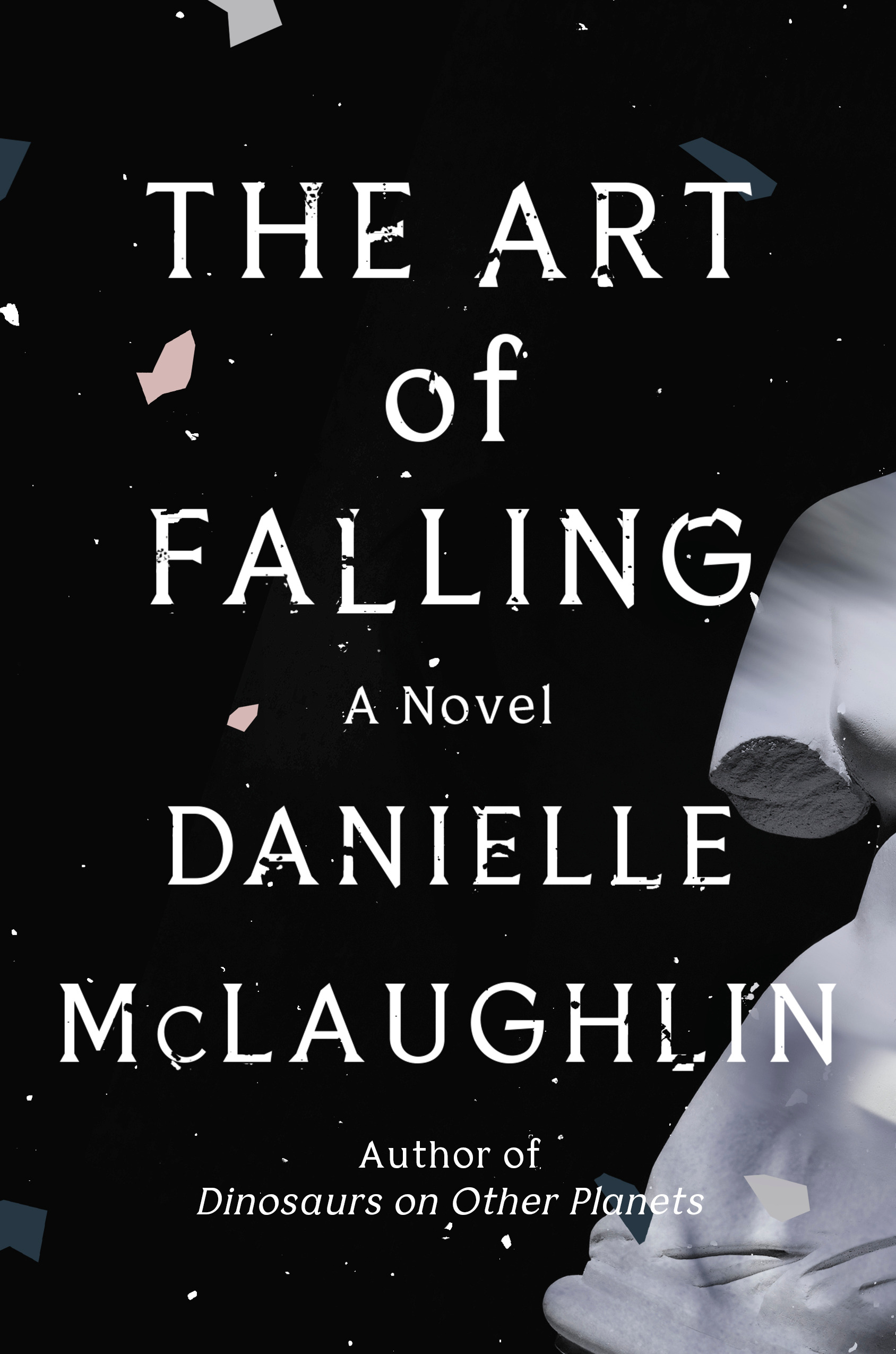 The Art of Falling (Hardcover)