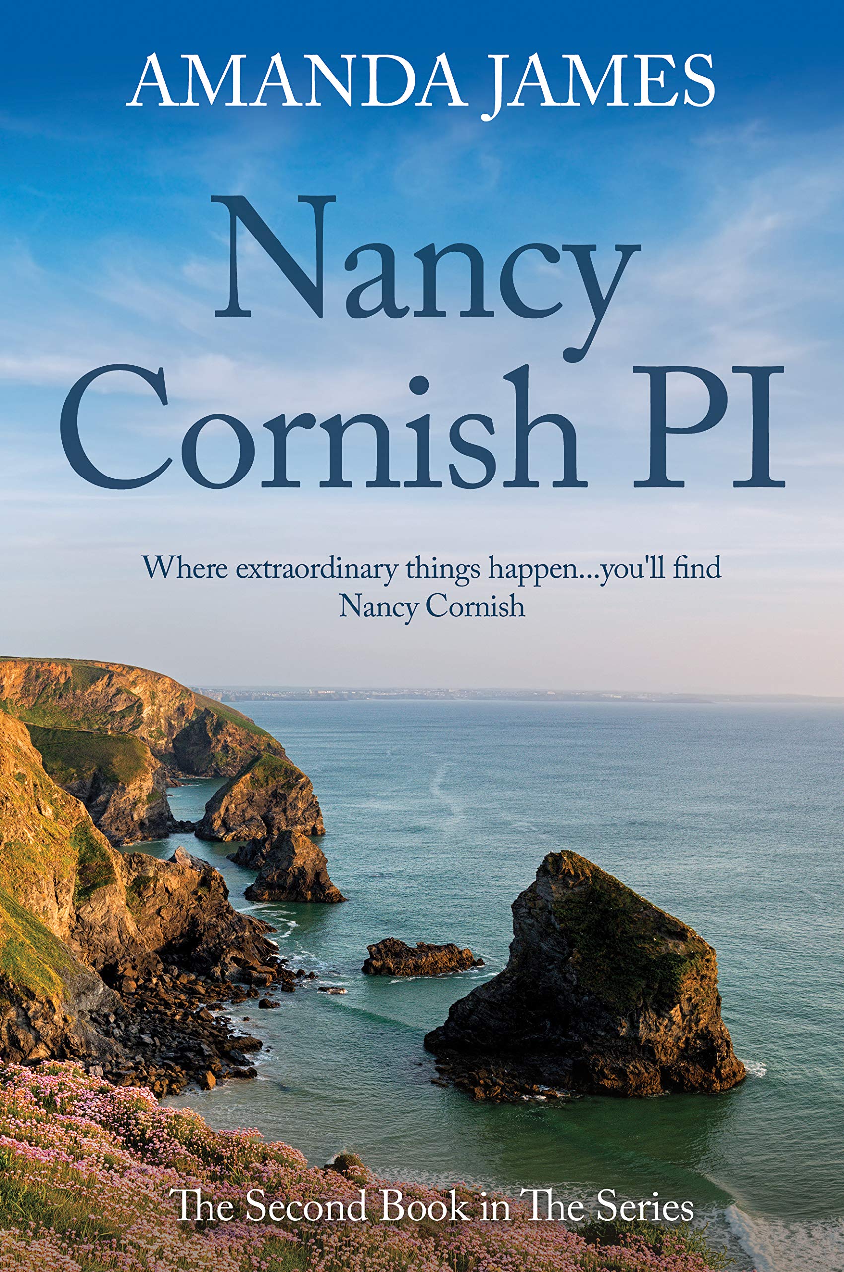 Nancy Cornish PI (Kindle Edition)
