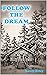 Follow The Dream
