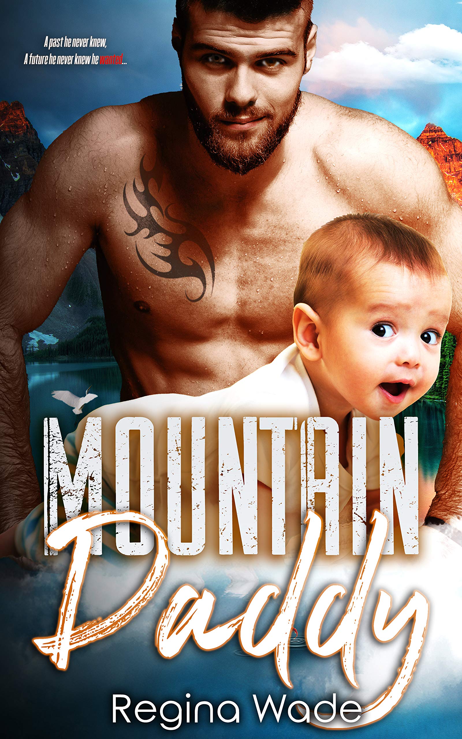 Mountain Daddy (Mountain Men of Knotty Wood Ridge #2)