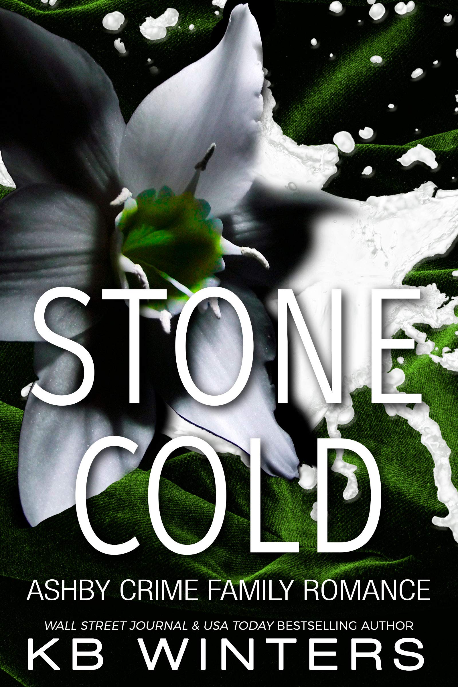 Stone Cold (Ashby Crime Family #2)