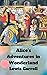 Alice's Adventures in Wonderland illustrated