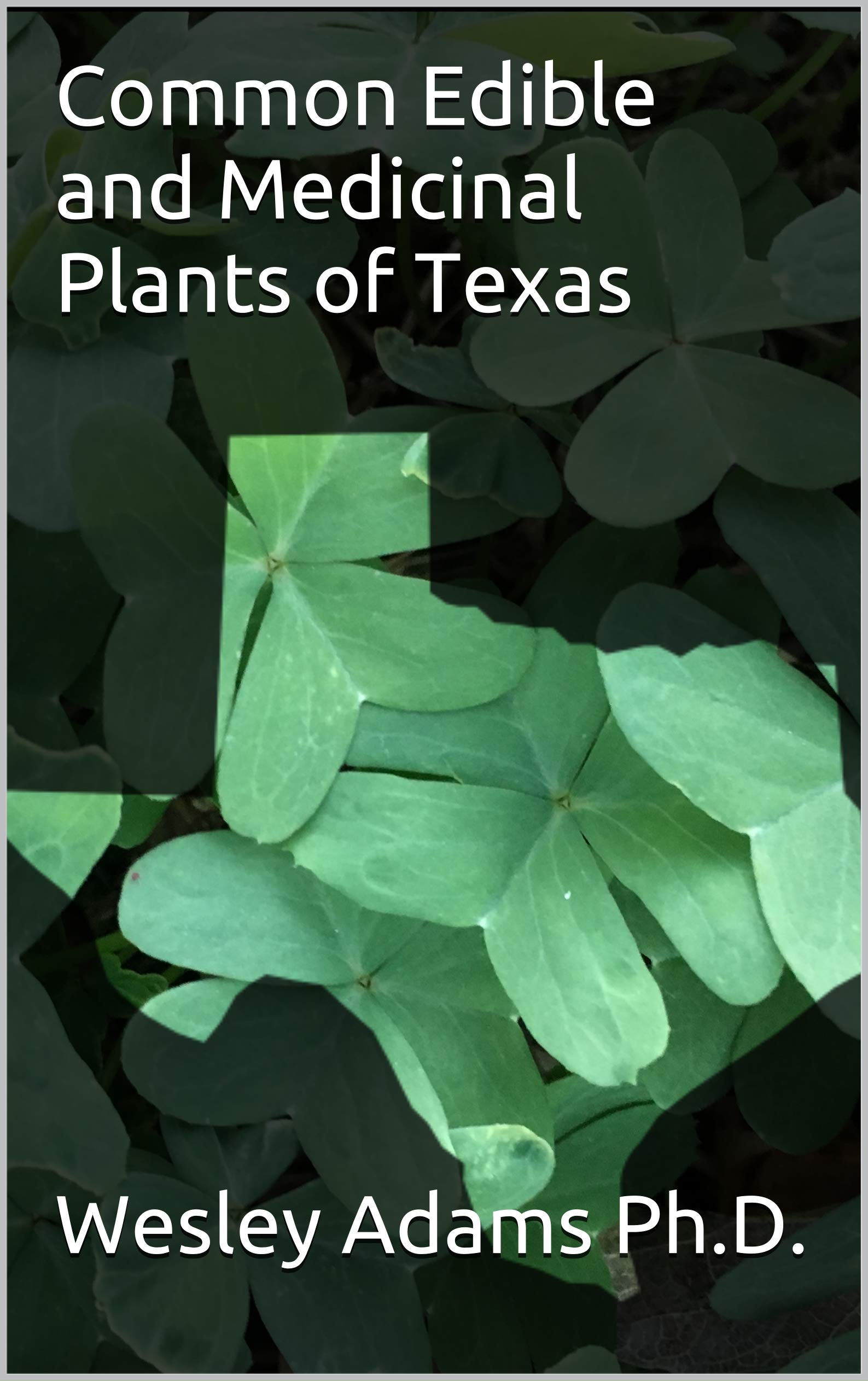 Common Edible and Medicinal Plants of Texas (Kindle Edition)