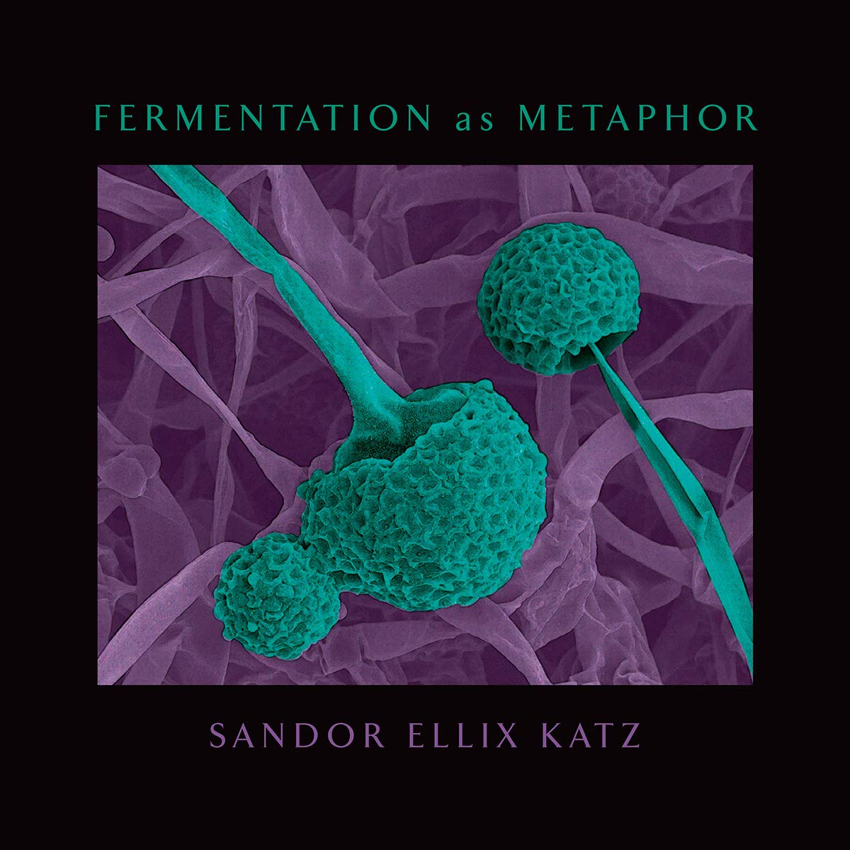 Fermentation as Metaphor (Hardcover)