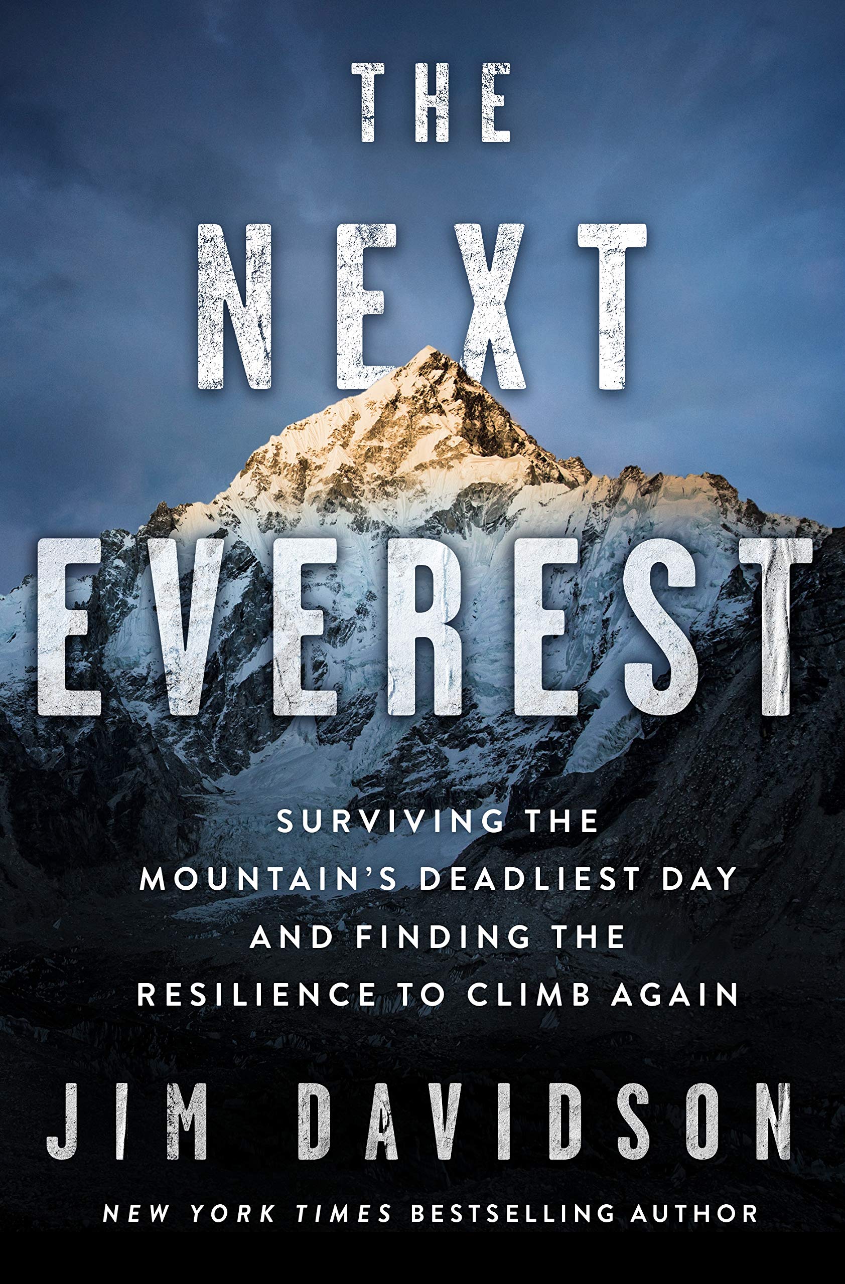 The Next Everest: Surviving the Mountain's Deadliest Day and Finding the Resilience to Climb Again