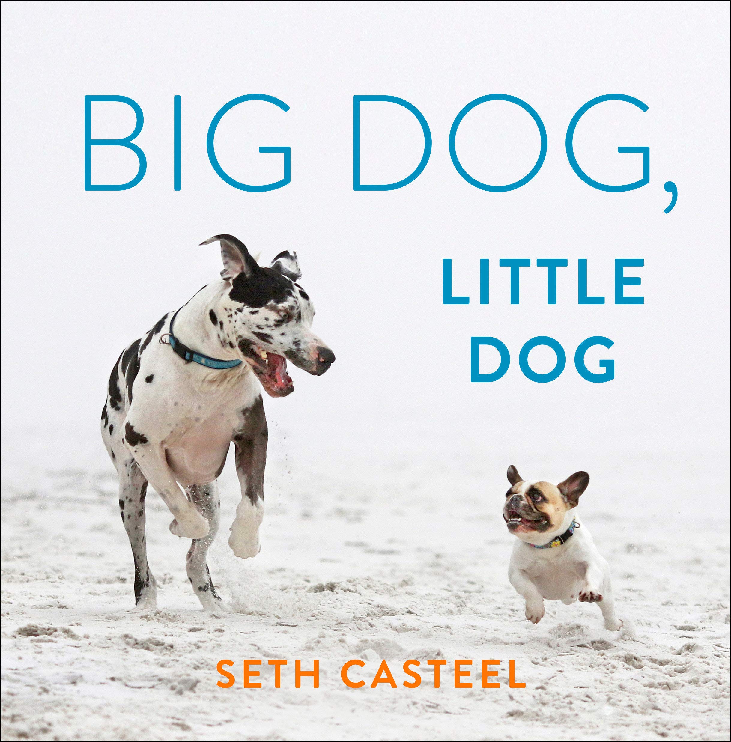 Big Dog, Little Dog (Hardcover)