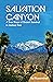 Salvation Canyon: A True Story of Desert Survival in Joshua Tree