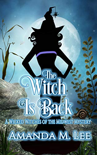The Witch is Back (Wicked Witches of the Midwest, #17)