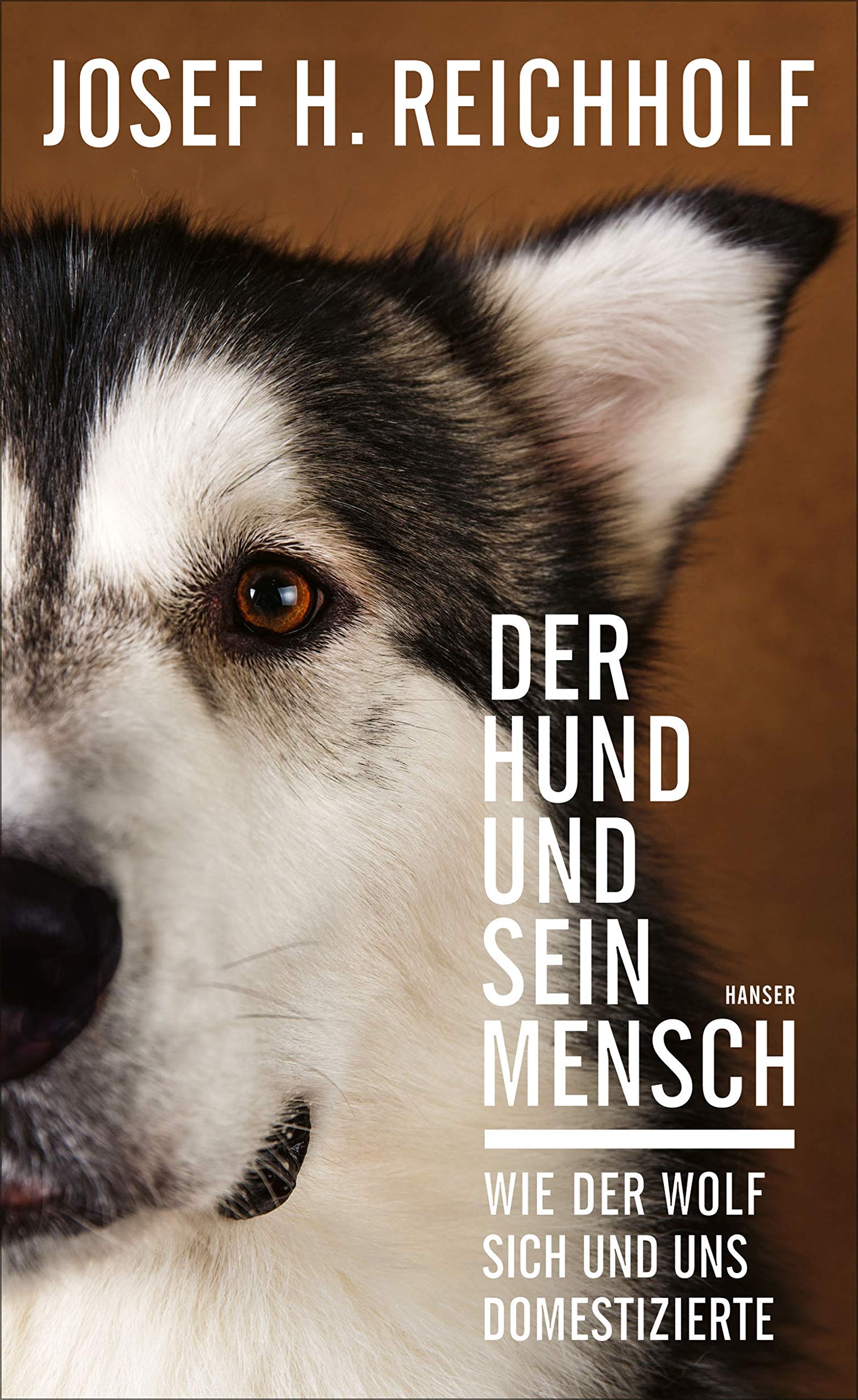 Der Hund und sein Mensch: Wie der Wolf sich und uns domestizierte (Kindle Edition)