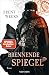 Brennende Spiegel (Licht-Saga, #6)