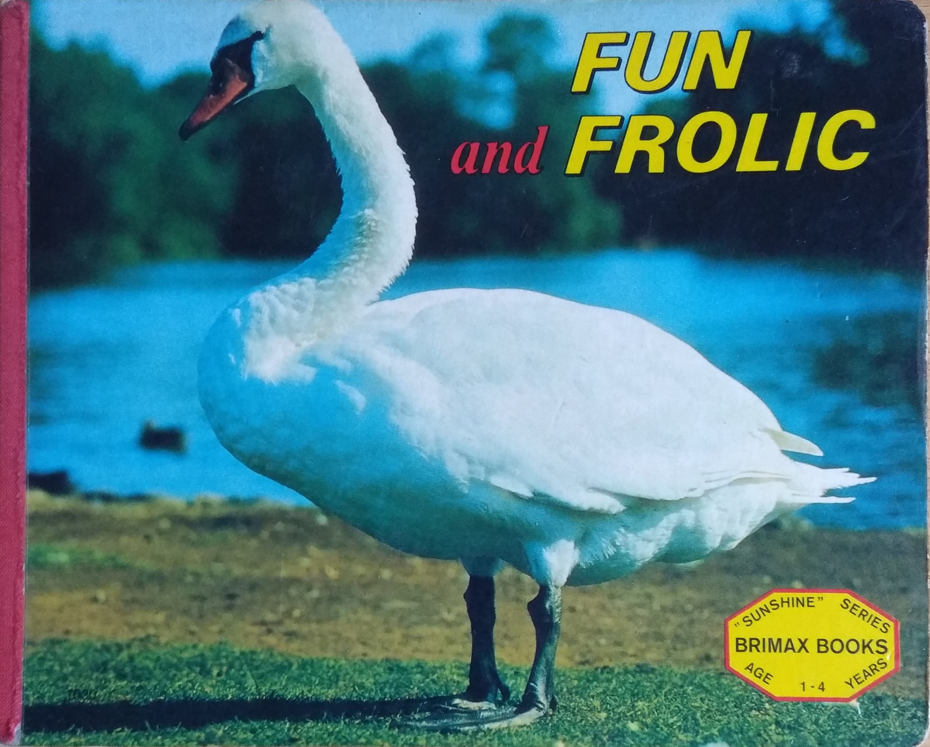 Fun and Frolic (Hardcover)