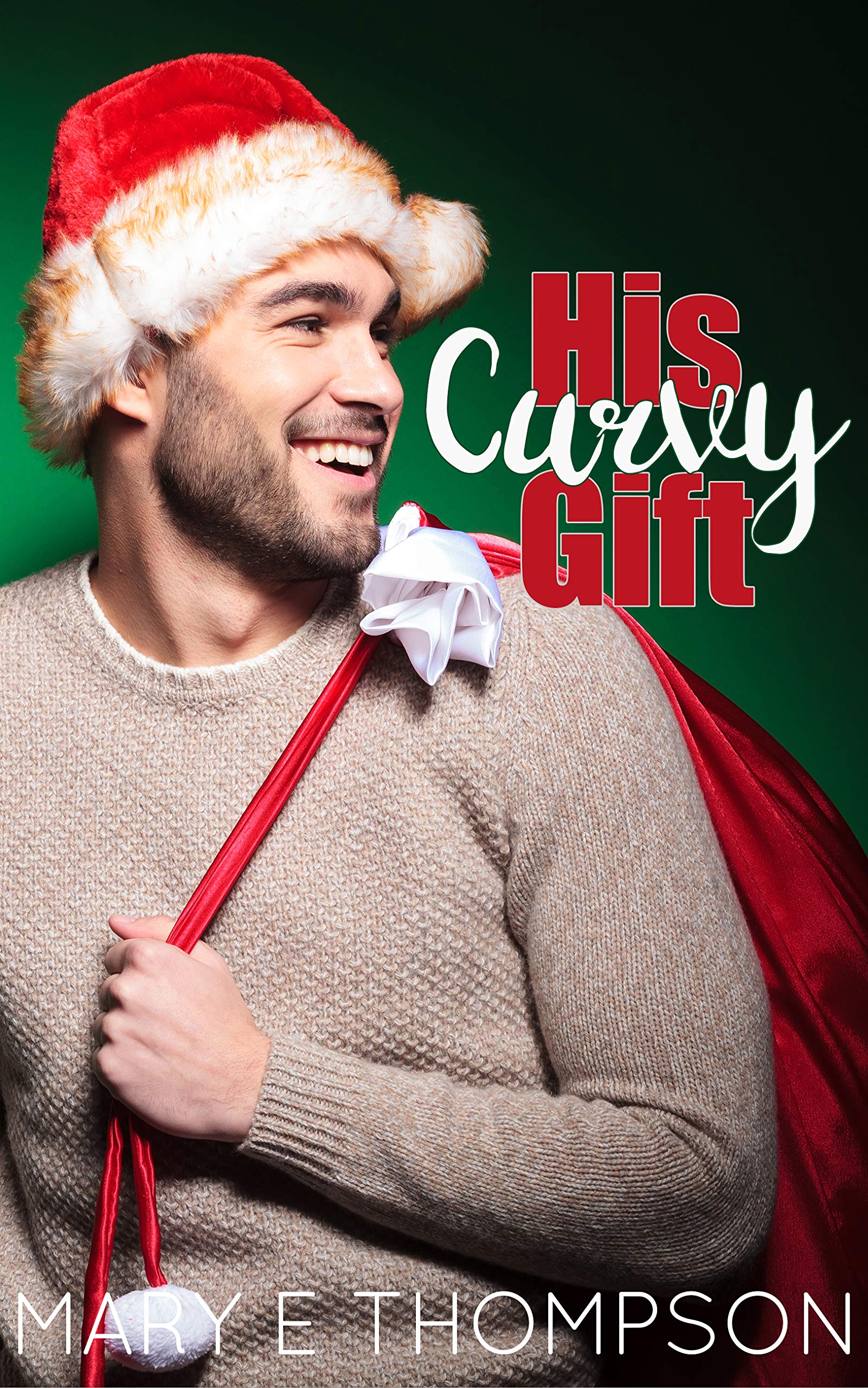 His Curvy Gift (Book Boyfriends Wanted, #5)