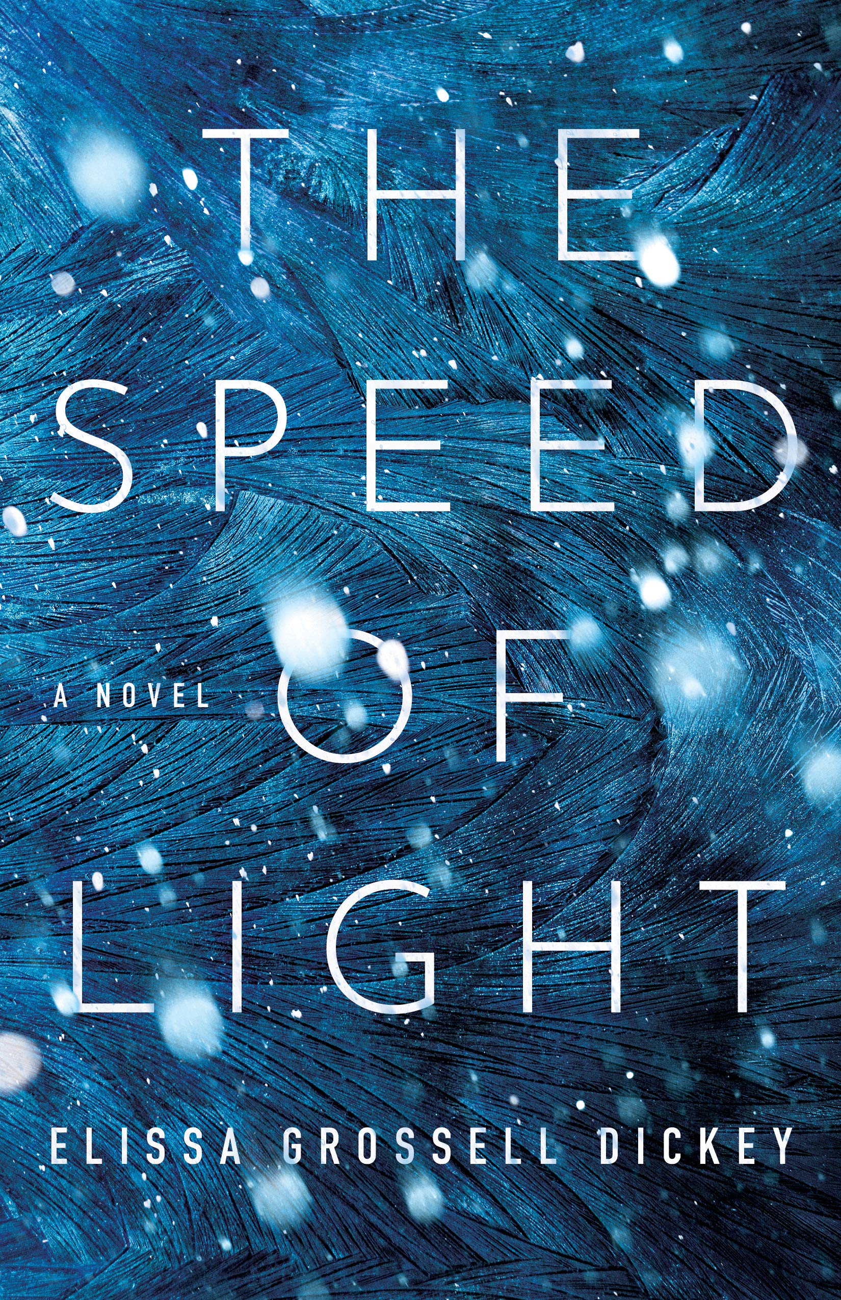 The Speed of Light (Kindle Edition)