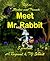 Shadow and Friends Meet Mr. Rabbit by S. Jackson