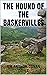 The Hound of the Baskervilles (Illustrated)