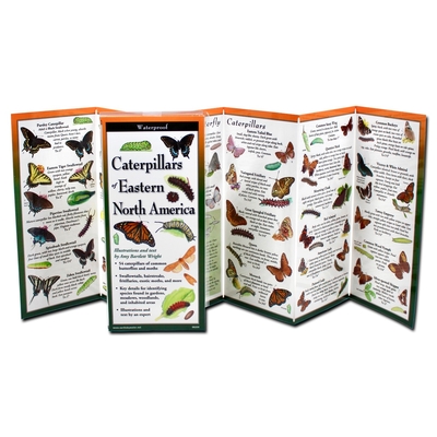 Earth Sky + Water FoldingGuide� - Caterpillars of Eastern North America - 10 Panel Foldable Laminated Nature Identification Guide