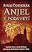 Anjel v podsvetí (Kapitán S...