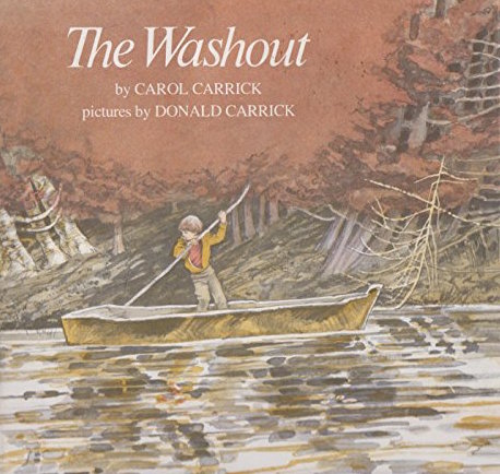 The Washout (Hardcover)
