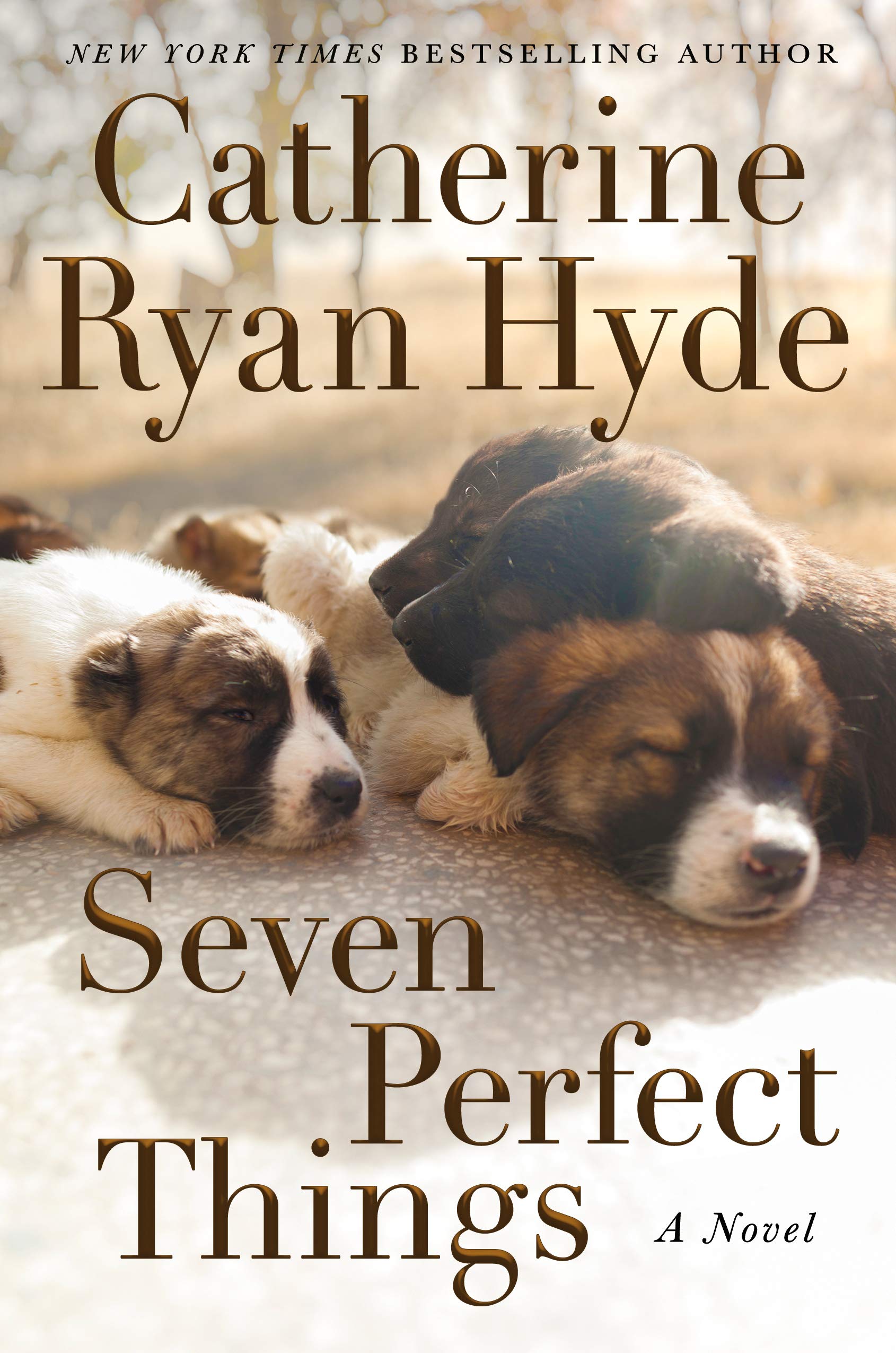 Seven Perfect Things (Kindle Edition)