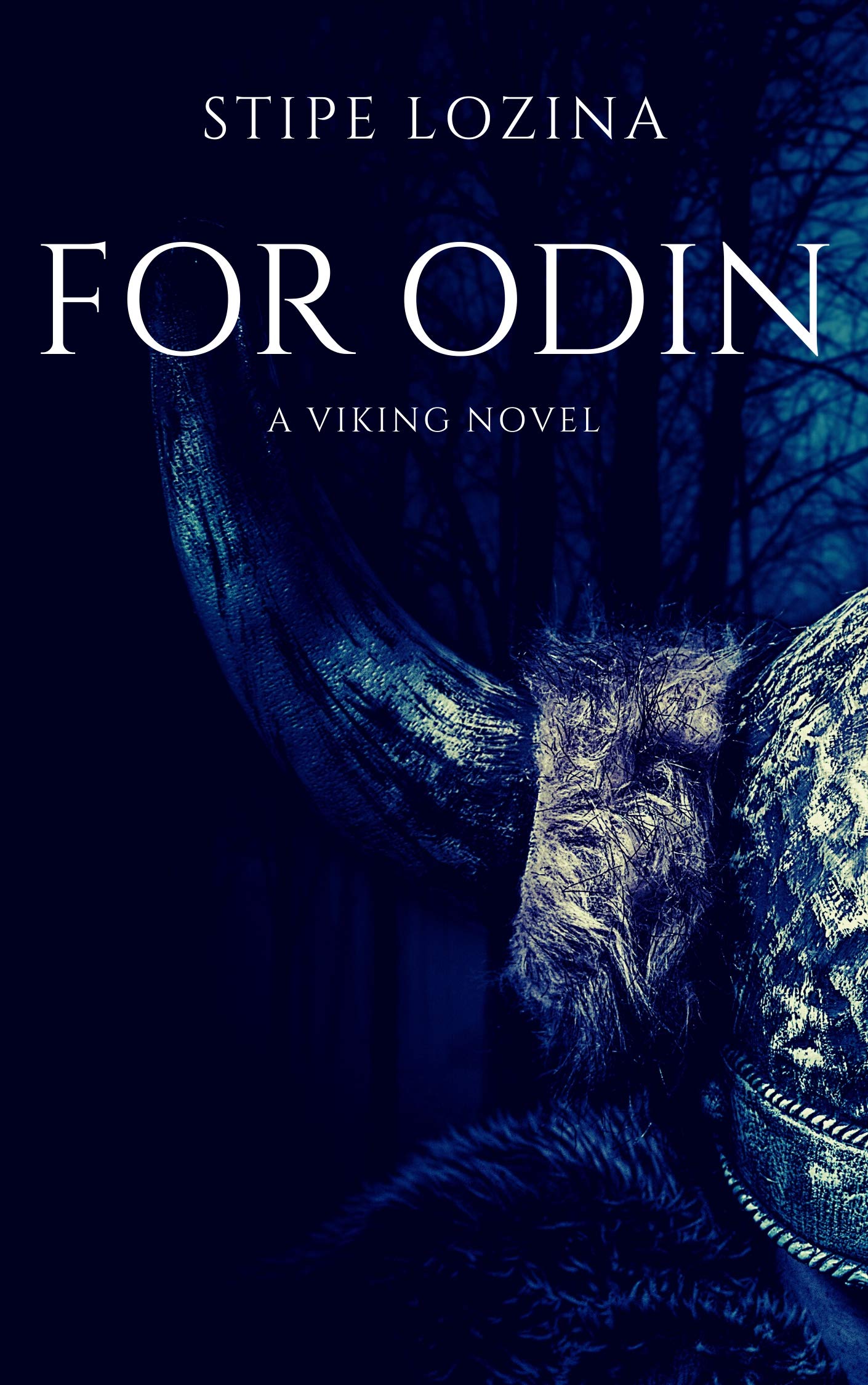 For Odin: A Viking Novel (Kindle Edition)