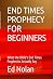 END TIMES PROPHECY FOR BEGINNERS by Edwin K. Nolan