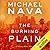 The Burning Plain (Henry Rios Mystery, #6)
