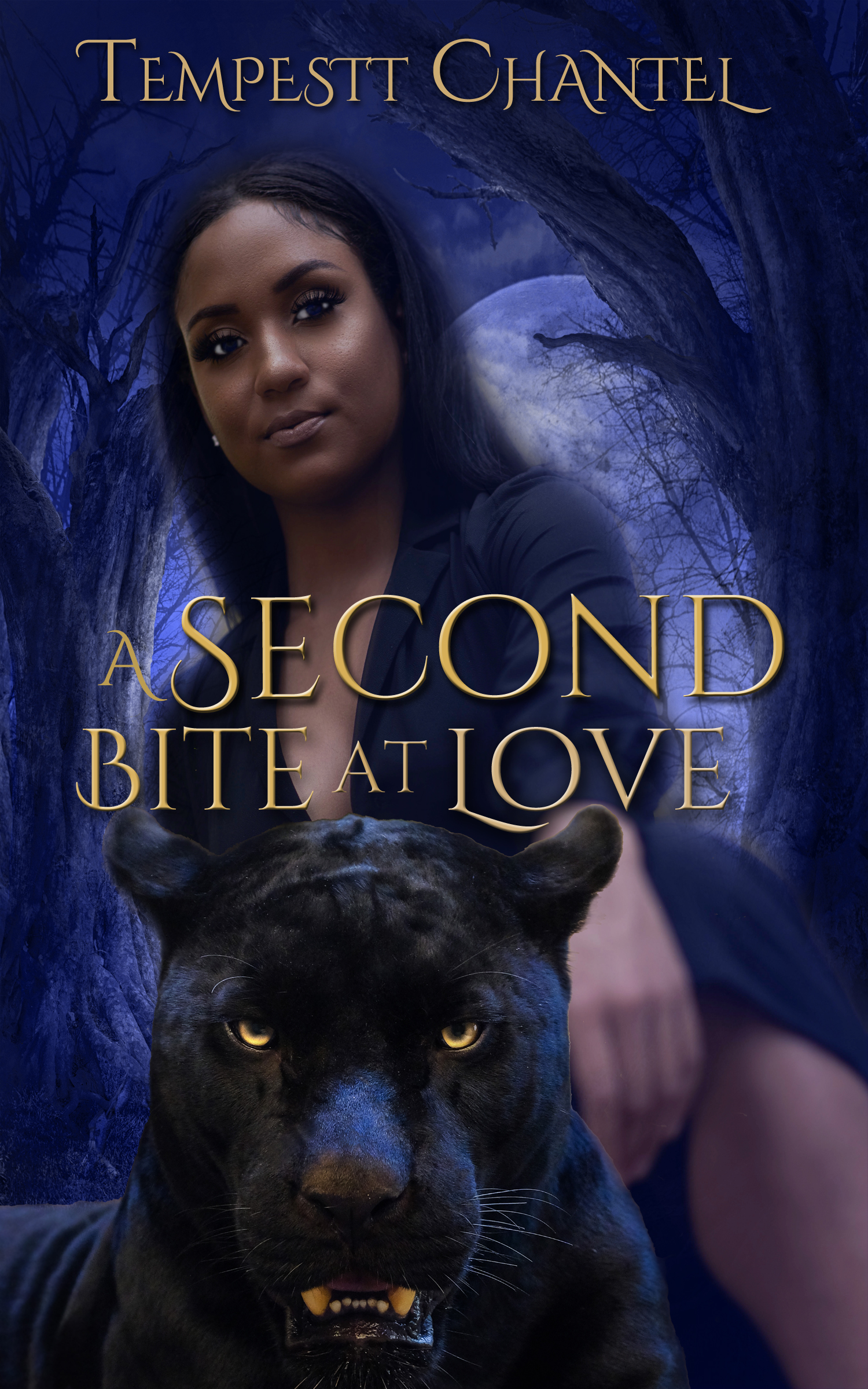 A Second Bite at Love (Unconventional Love Chronicles. #1)
