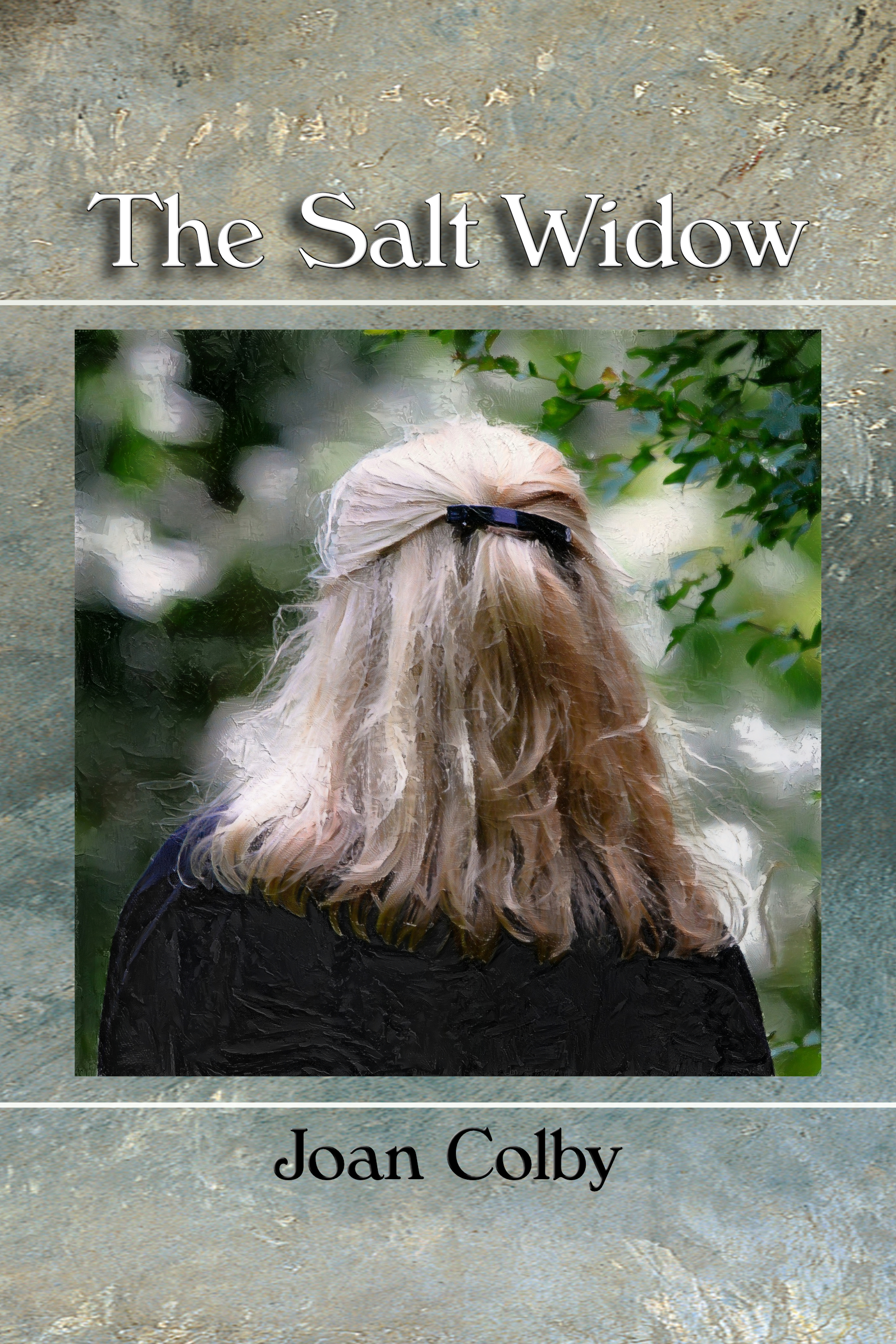 The Salt Widow (Paperback)