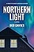 Northern Light (The Coast-to-Coast Michigan Mysteries #1)