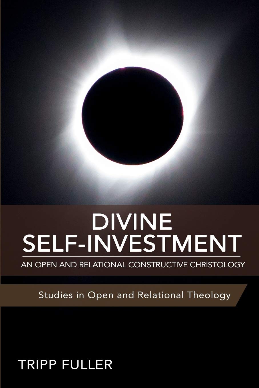Divine Self-Investment: An Open and Relational Constructive Christology (Paperback)