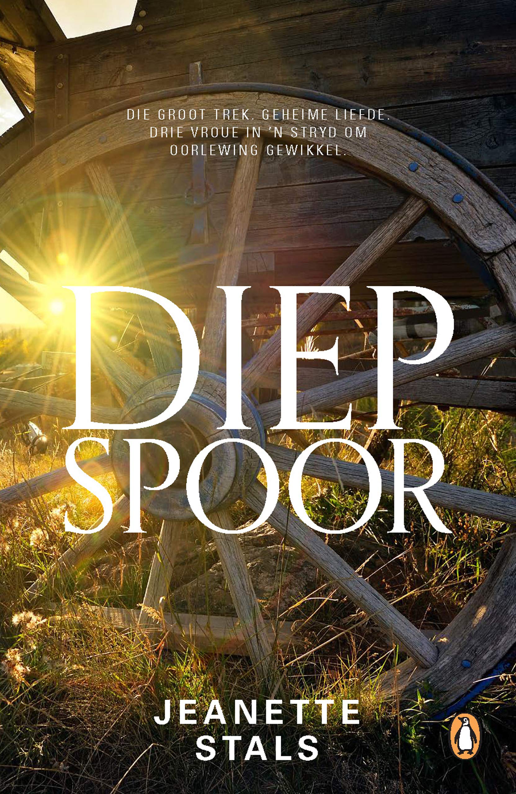 Diep spoor (Afrikaans Edition)