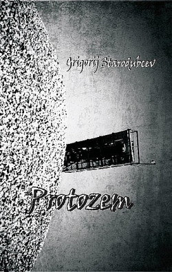 Protozem