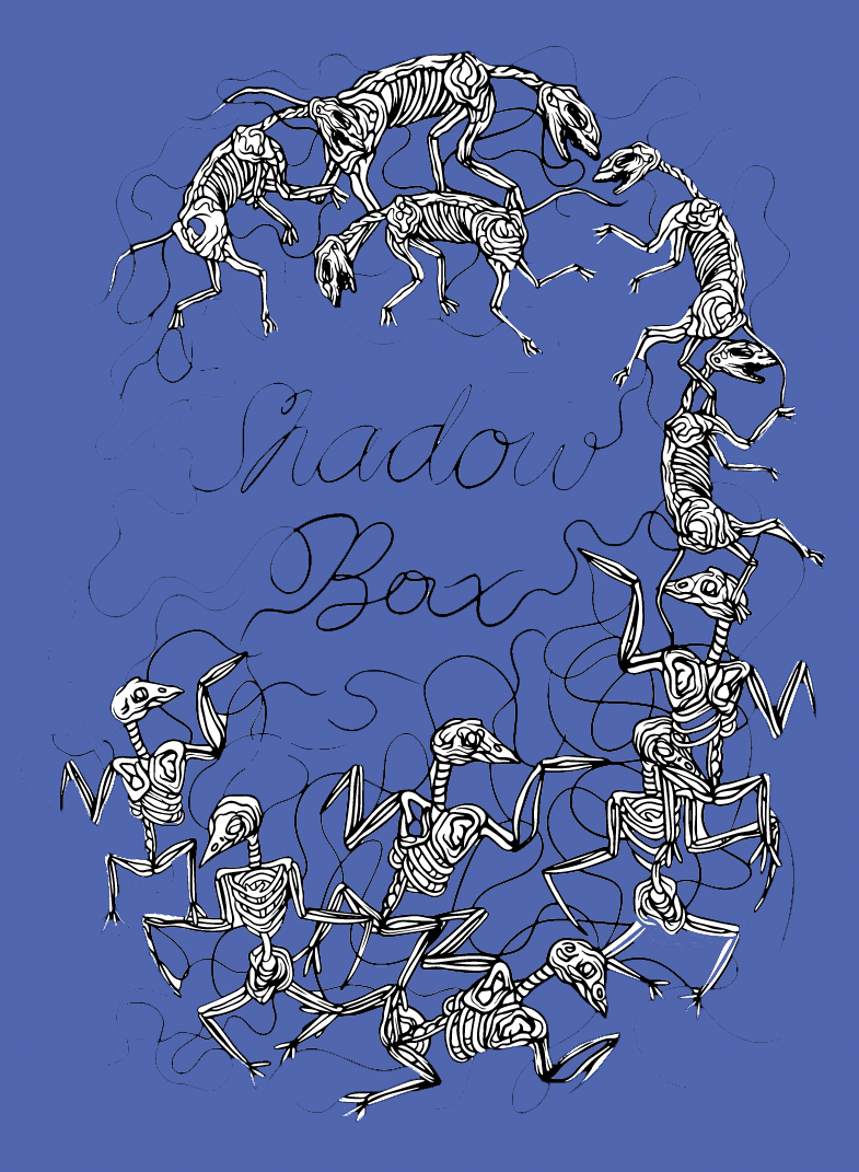 Shadow Box